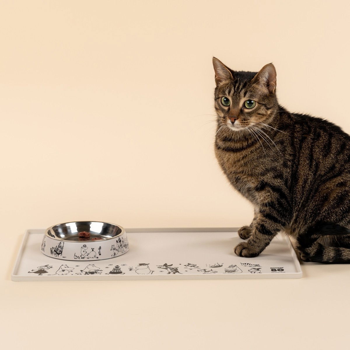 Moomin for Pets silikonialusta Muumit 80v. juhlavuosi