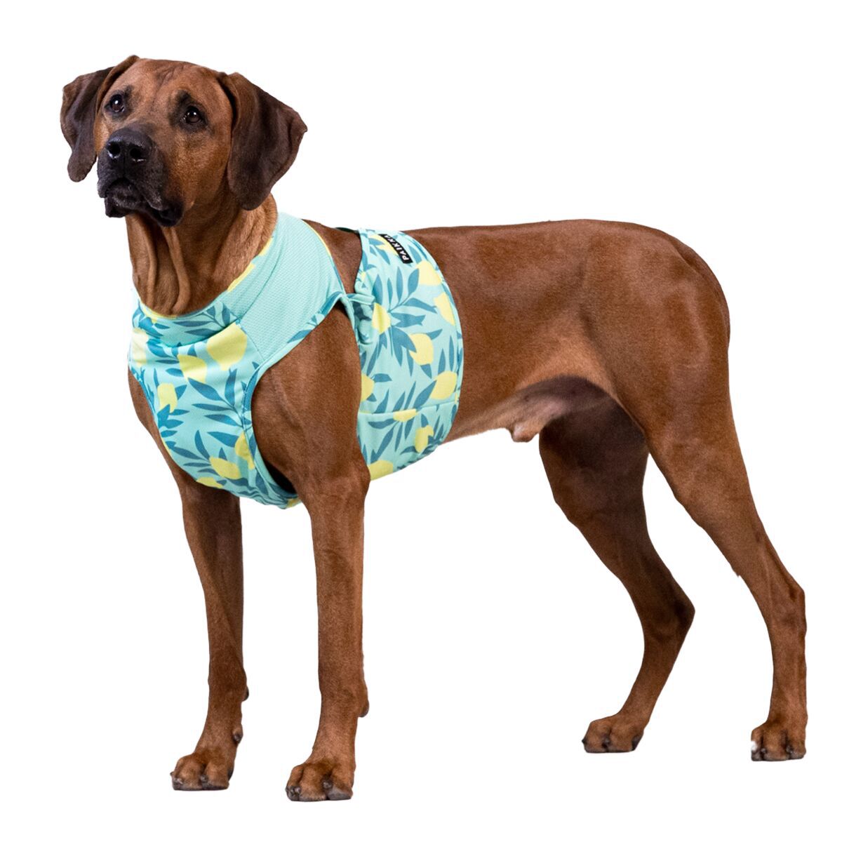 PAIKKA Cool Vest Lemon green