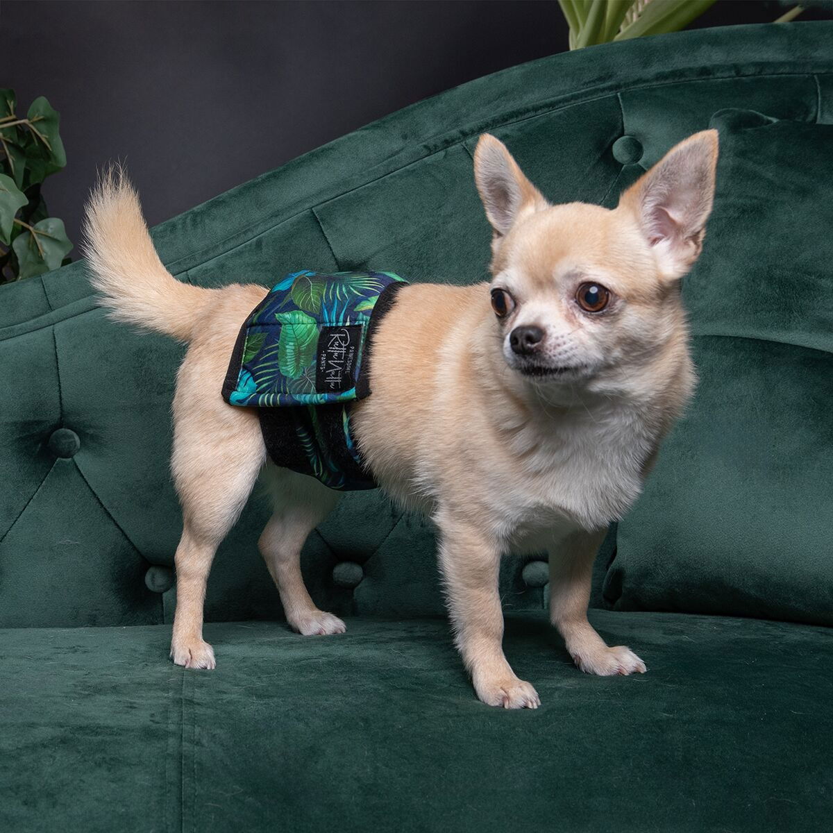 RuttuNuttu male wrap Jungle monstera