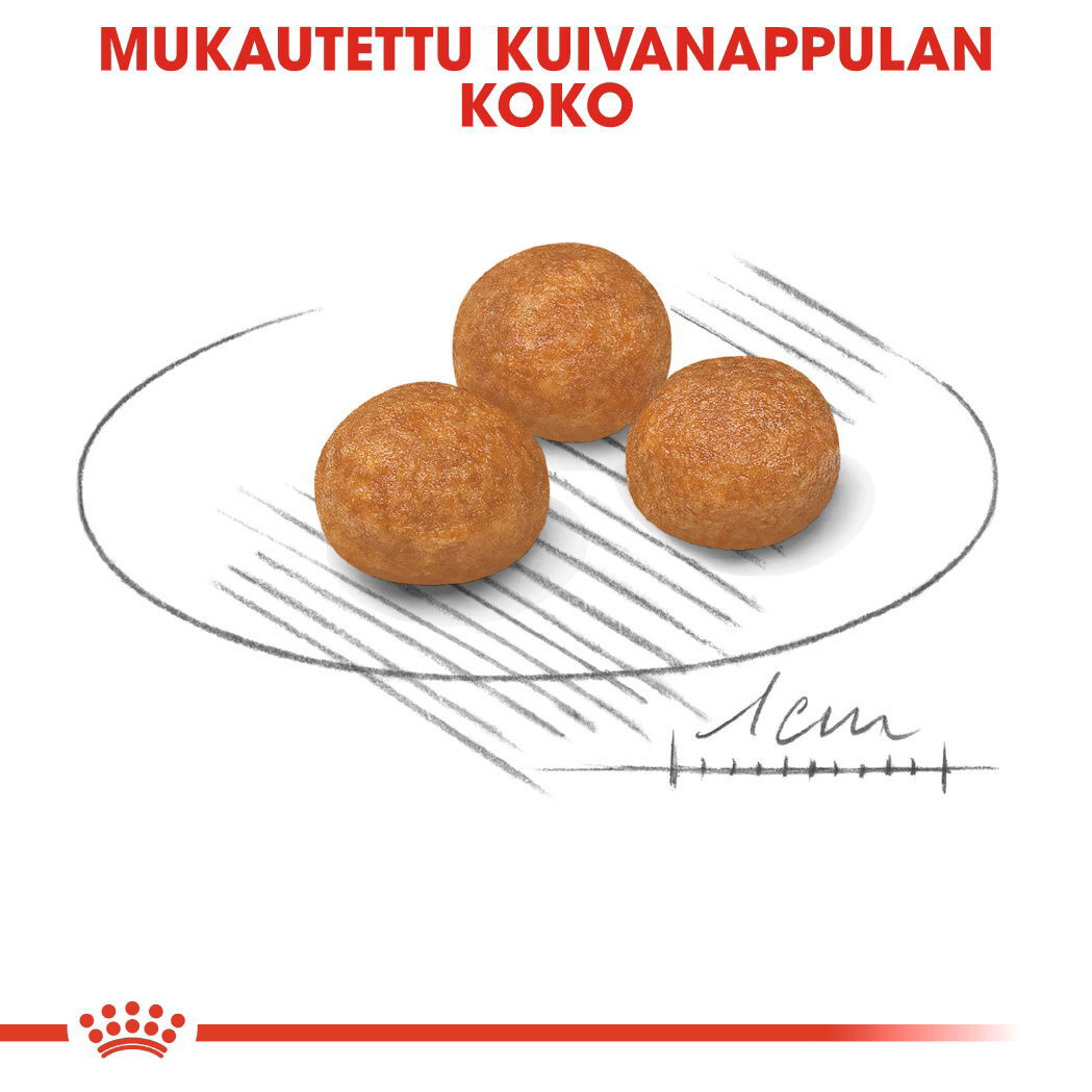 Royal Canin X-small Adult koiran kuivaruoka