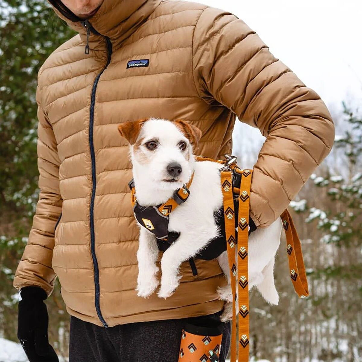 Woolly Wolf Sea to Summit Leash