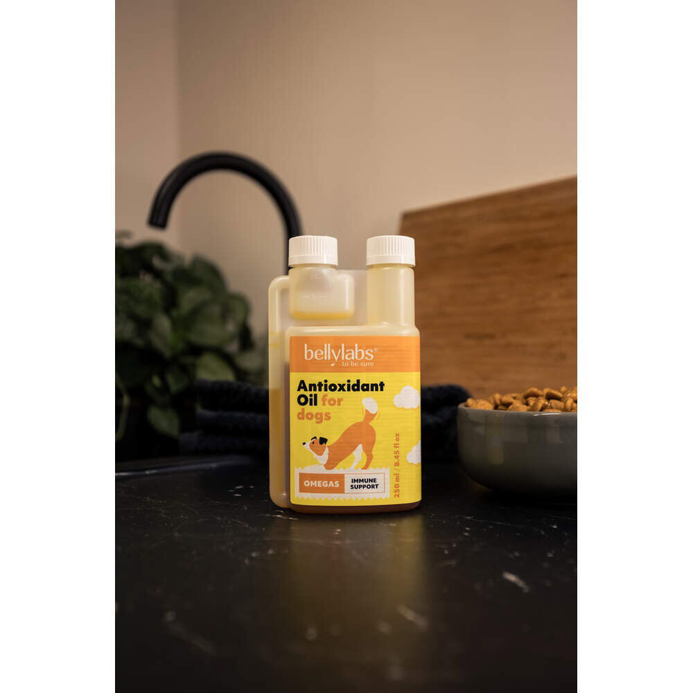 Bellylabs Antioxidantti öljy 250 ml