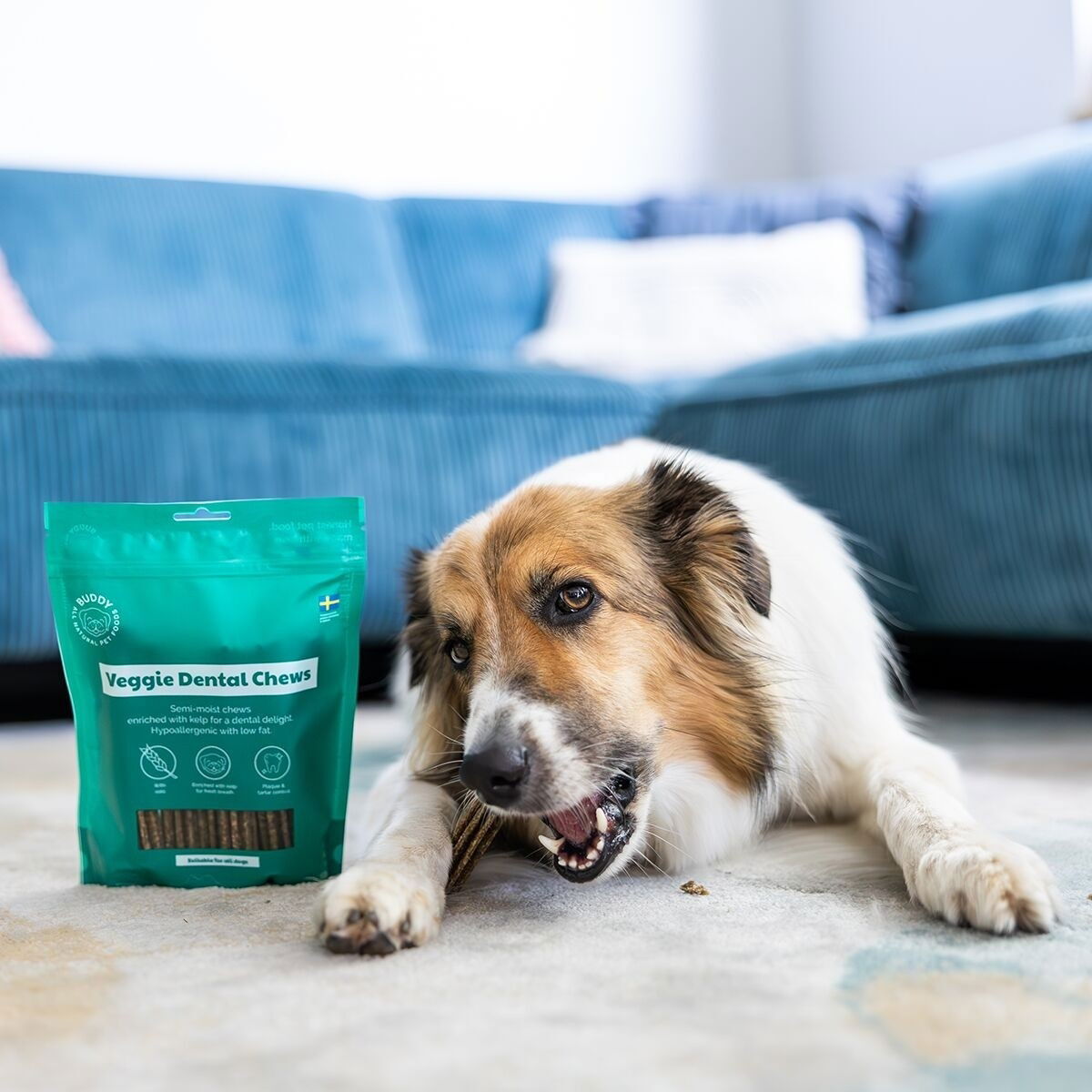 Buddy Veggie Dental Chew M