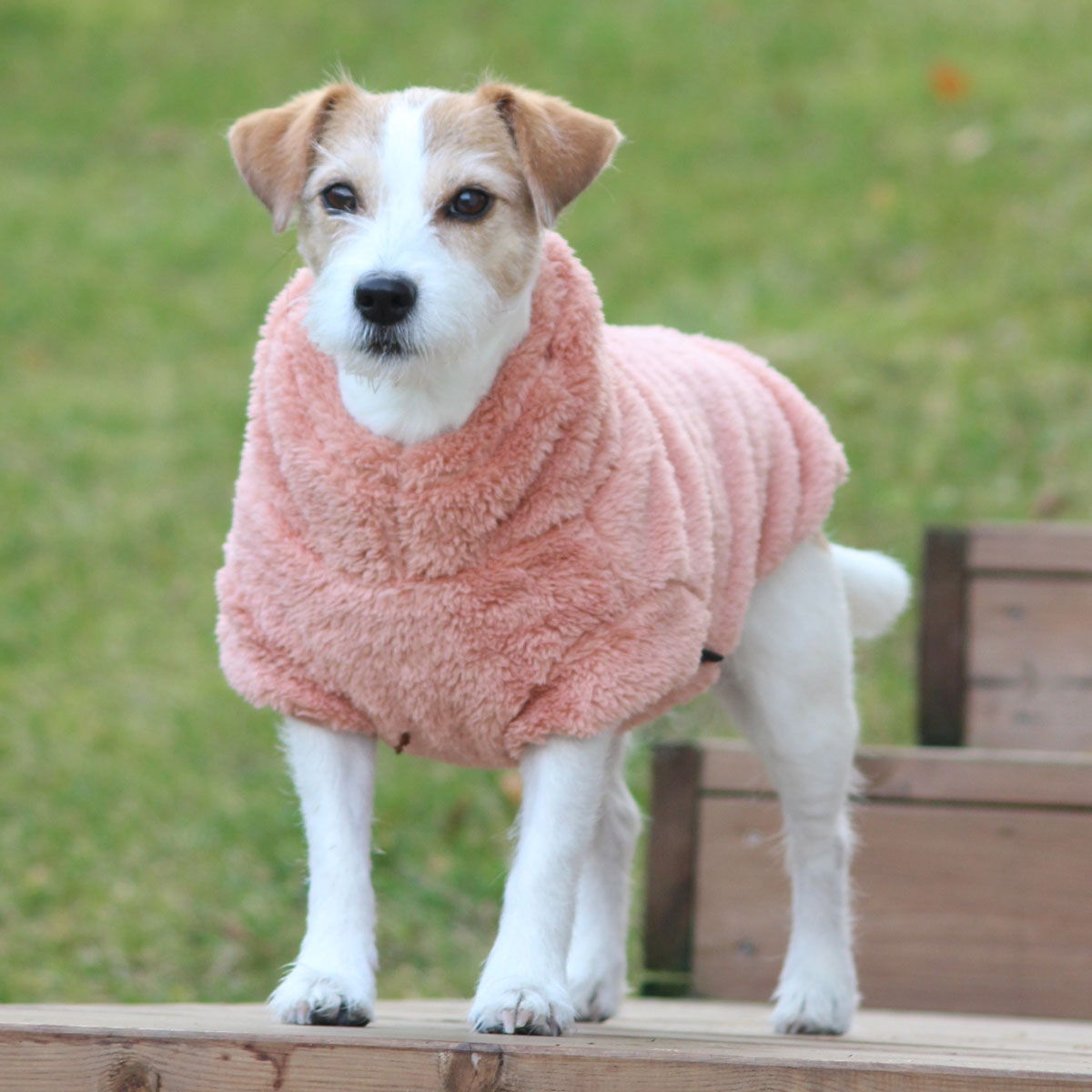 51 Degrees North Turtle Teddy, Peach