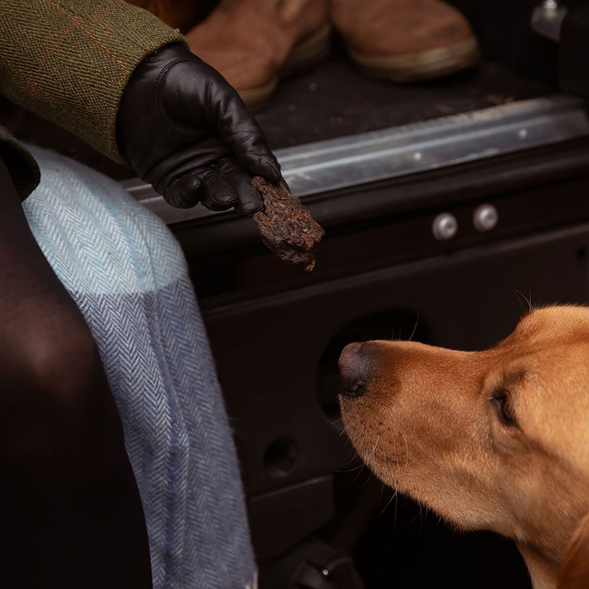 ESSENTIAL Liver Delights 250g