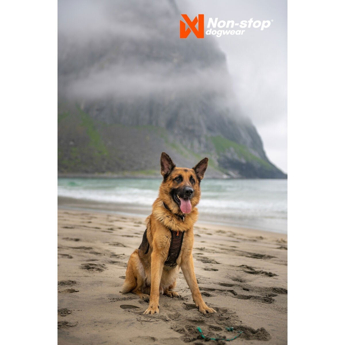 non-Stop Rock valjas musta/oranssi