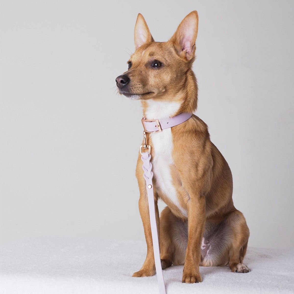 Tyylivoitto Braid hihna laventeli/ruusukulta