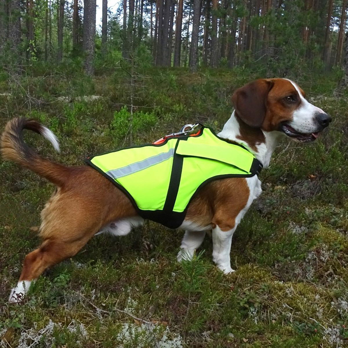 Kardog Floatable vest Jeri