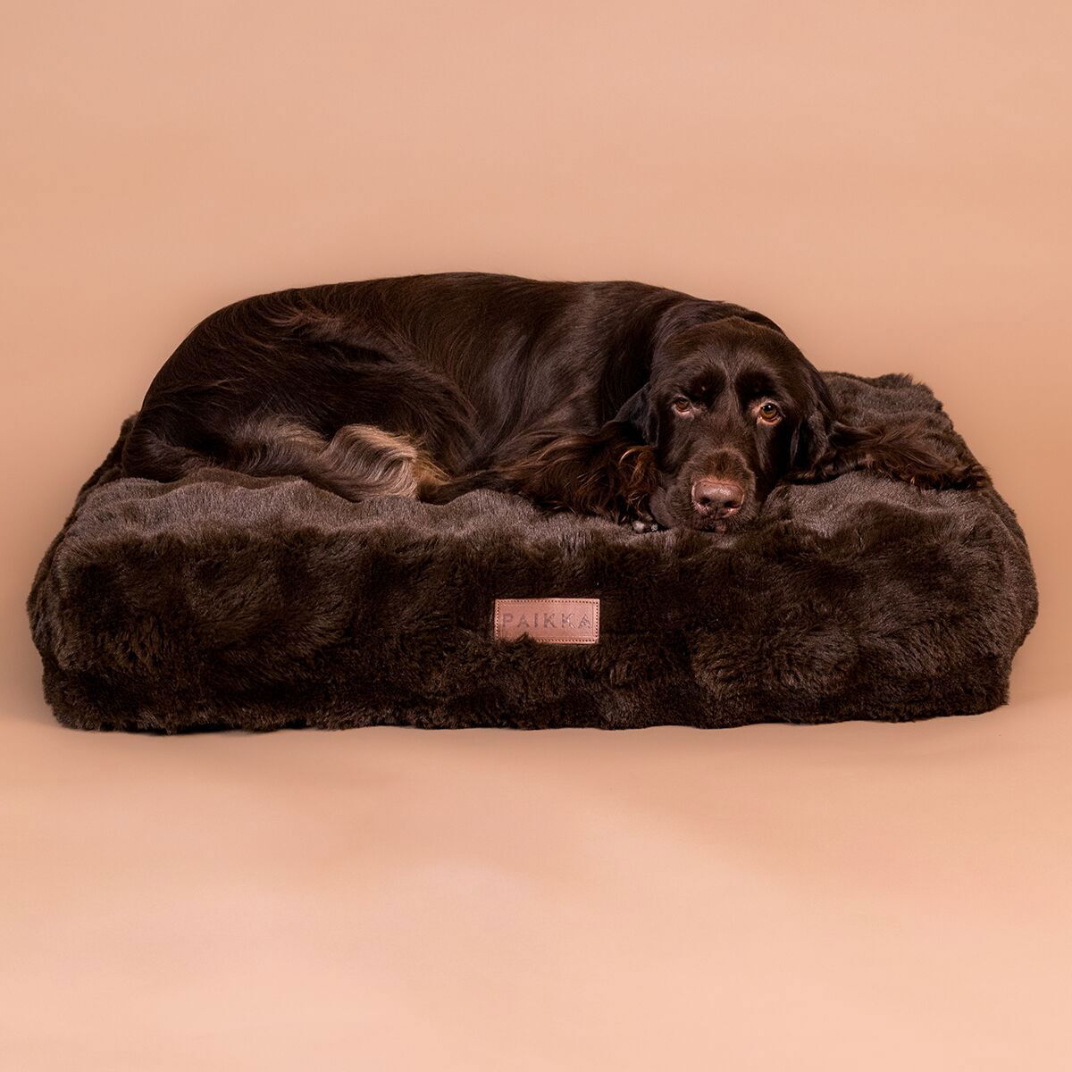 Orthopedic dog bed PAIKKA Lounge