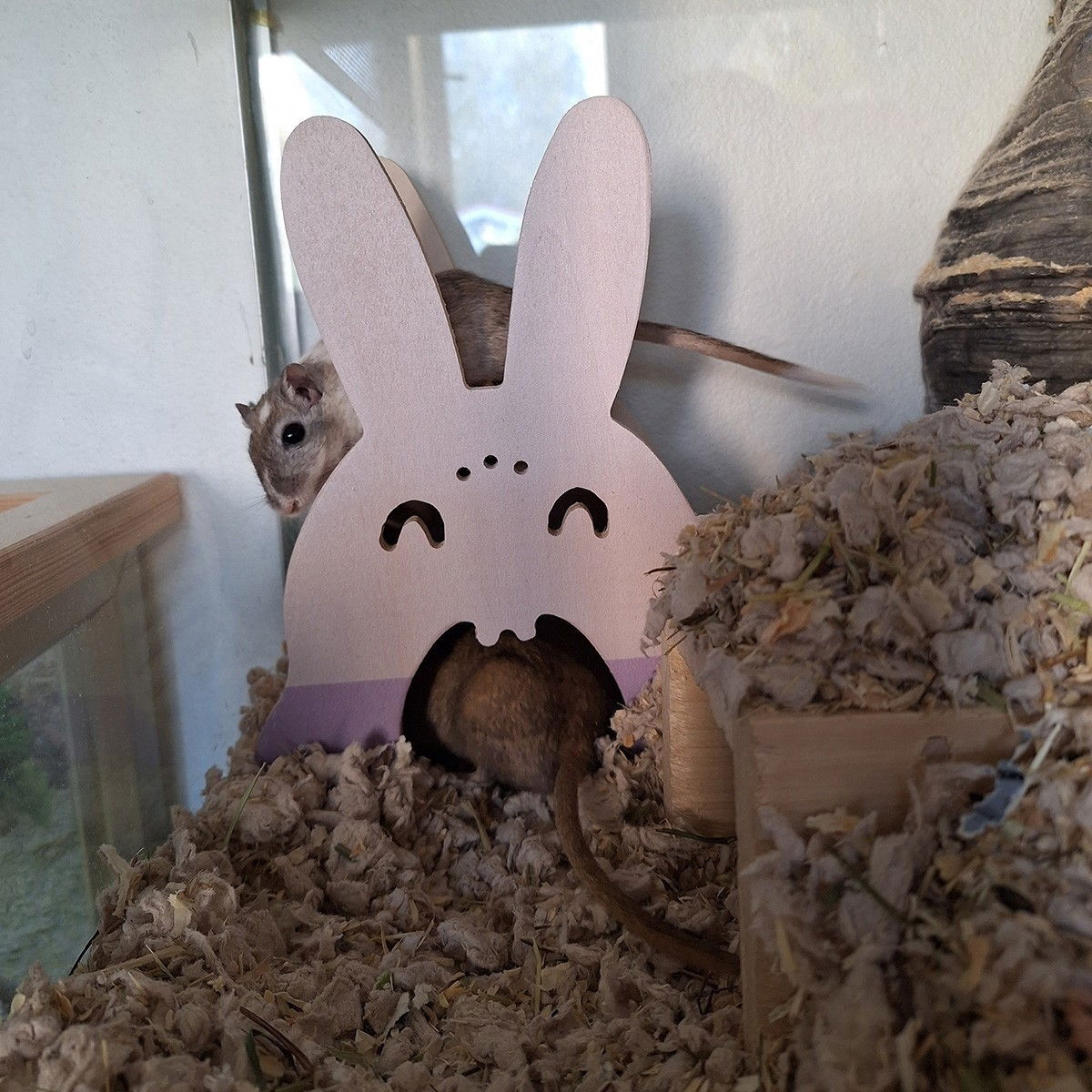 Duvoplus Jyrsijän mökki, pupu