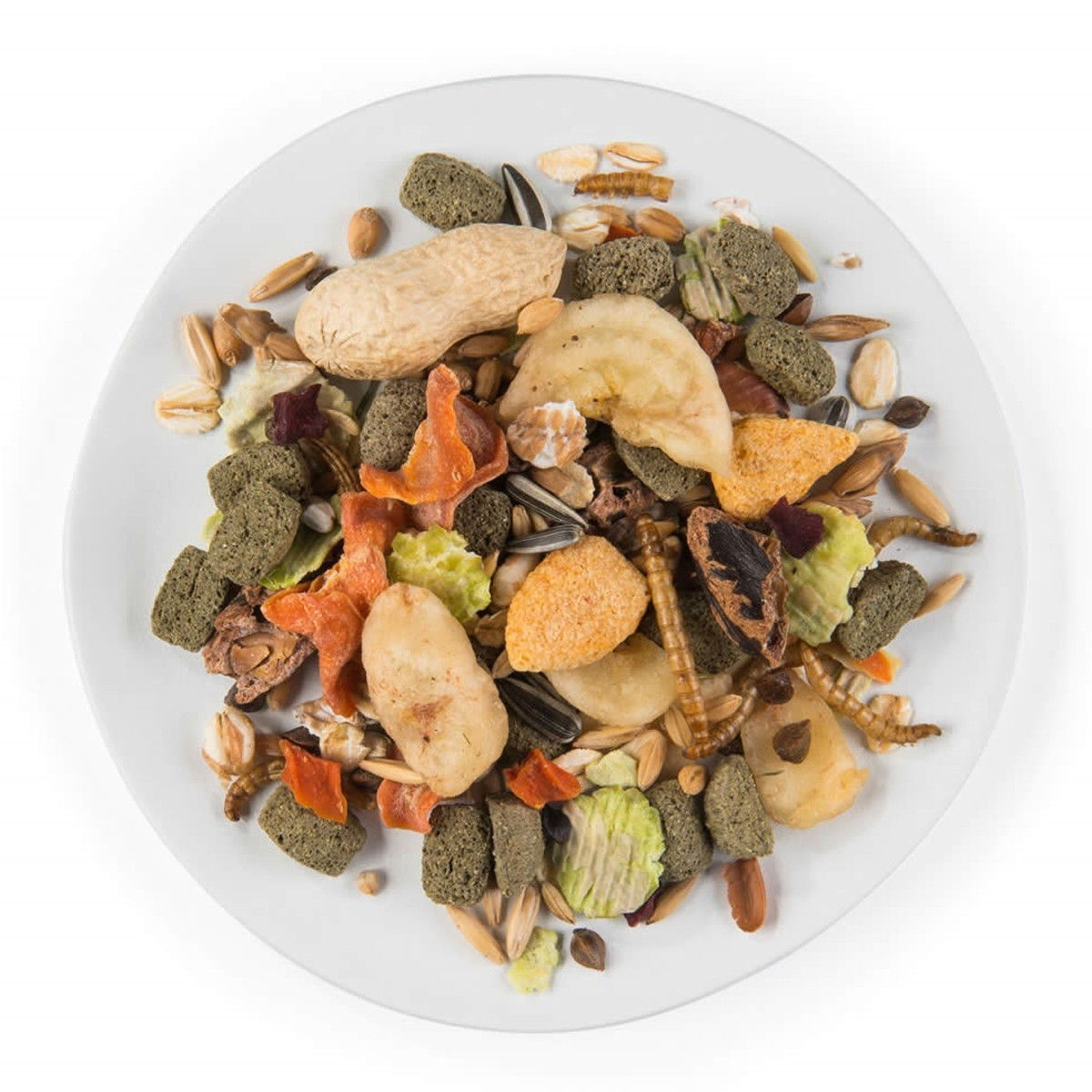 PUUR Rat, kesyrotan ruoka