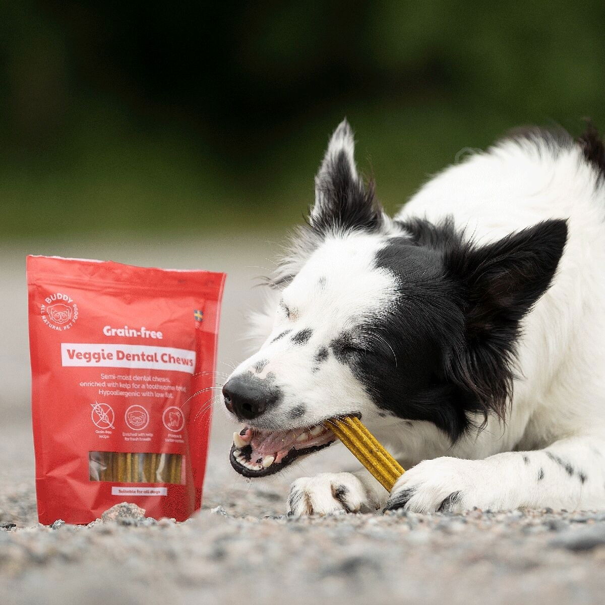 Buddy GF Veggie Dental Chew M