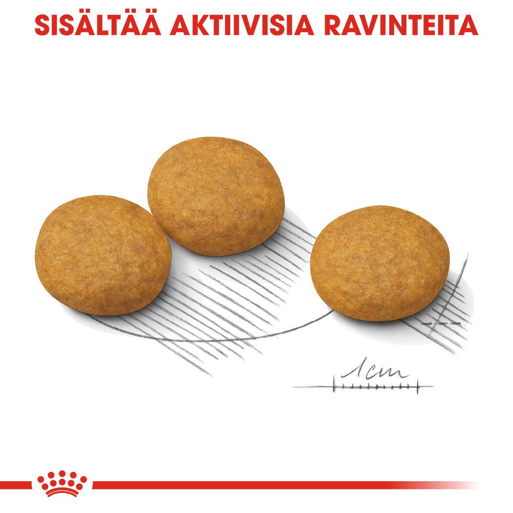 Royal Canin Dermacomfort Medium Adult koiran kuivaruoka