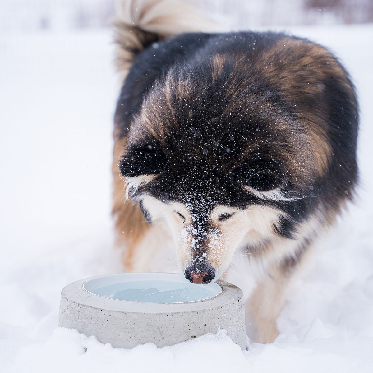 Sulavesi lämmittävä vesikuppi ulkokäyttöön 2,6l