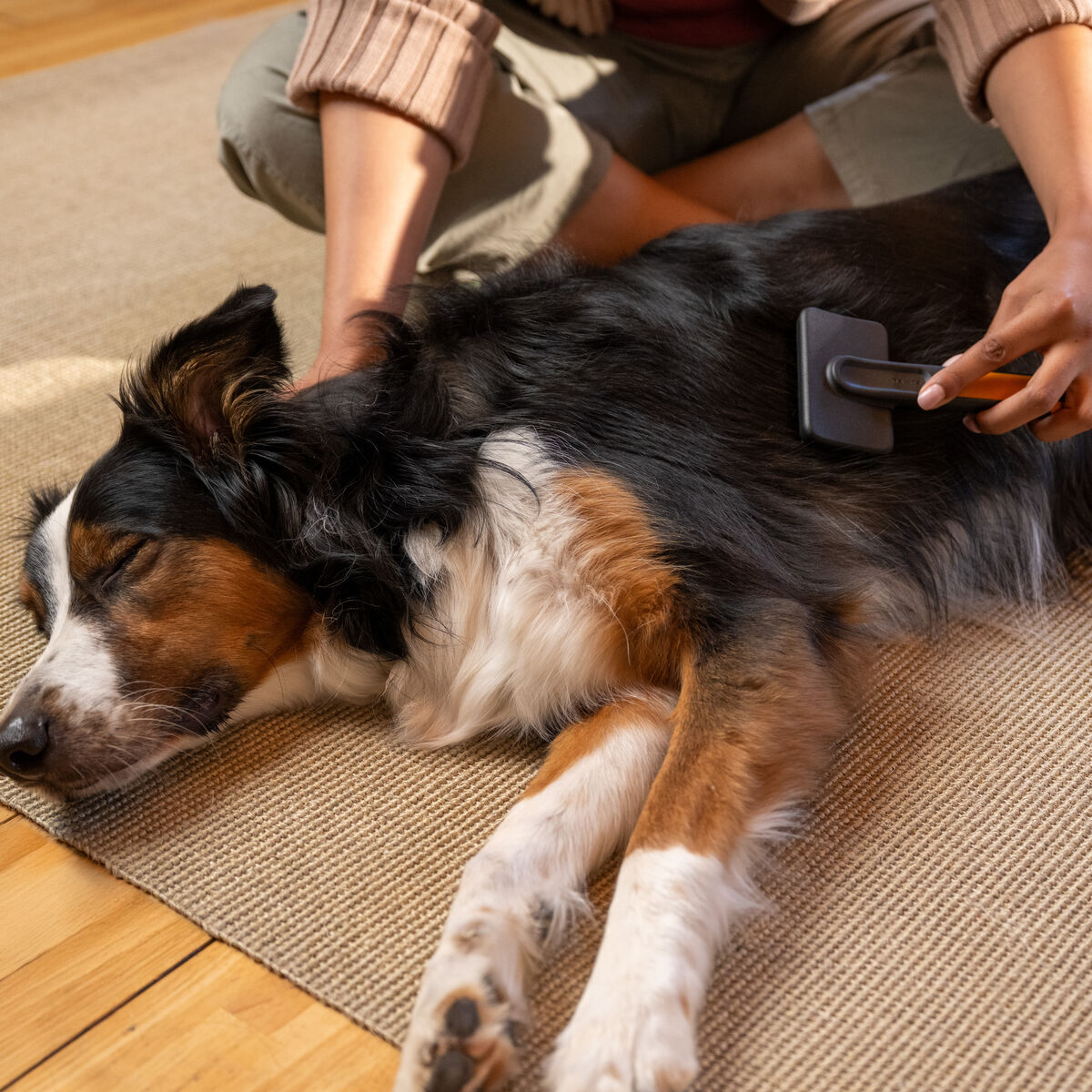 Fiskars hierova harja