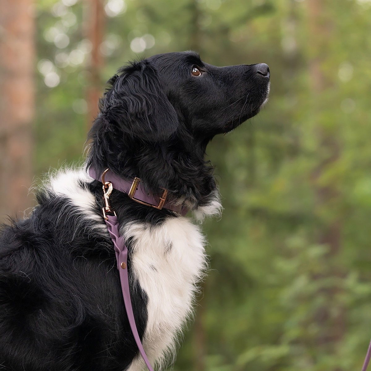 Tyylivoitto Classy collar, mauve