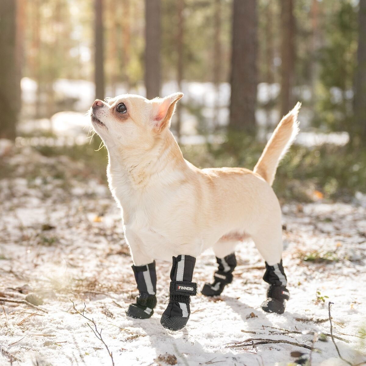 Finnero HALLA Softshell Booties 4pcs, black