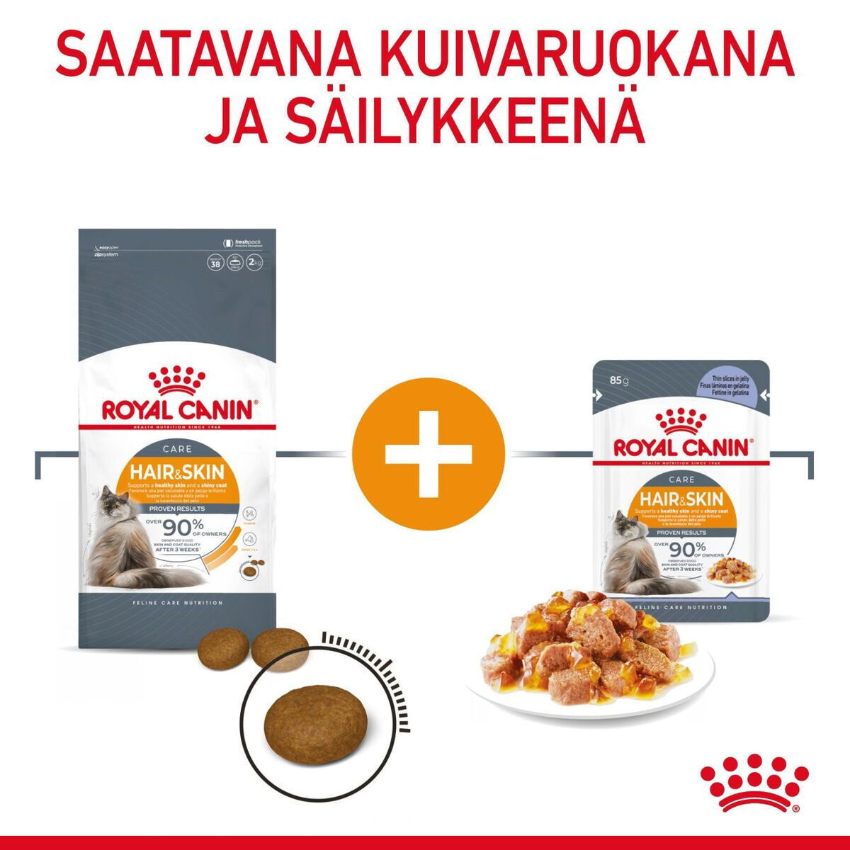 Royal Canin Hair & Skin Care Jelly Adult kissan märkäruoka