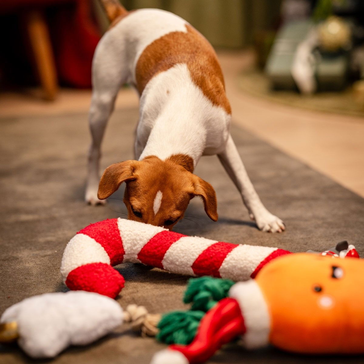 Little&Bigger Xmas Stories XL iloinen porkkana köydellä