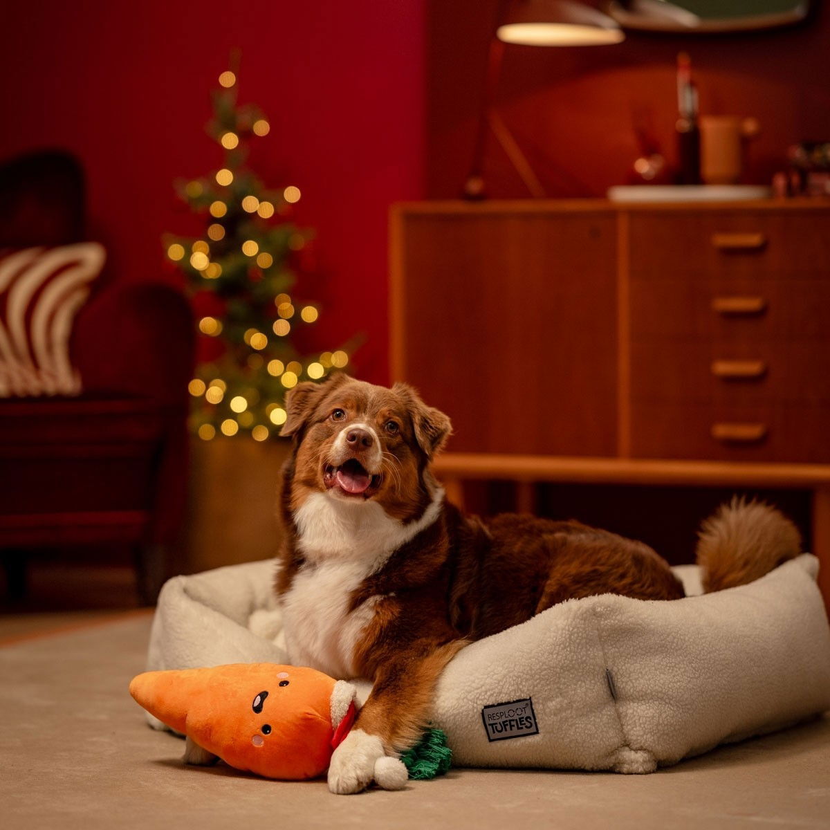 Little&Bigger Xmas Stories XL iloinen porkkana köydellä