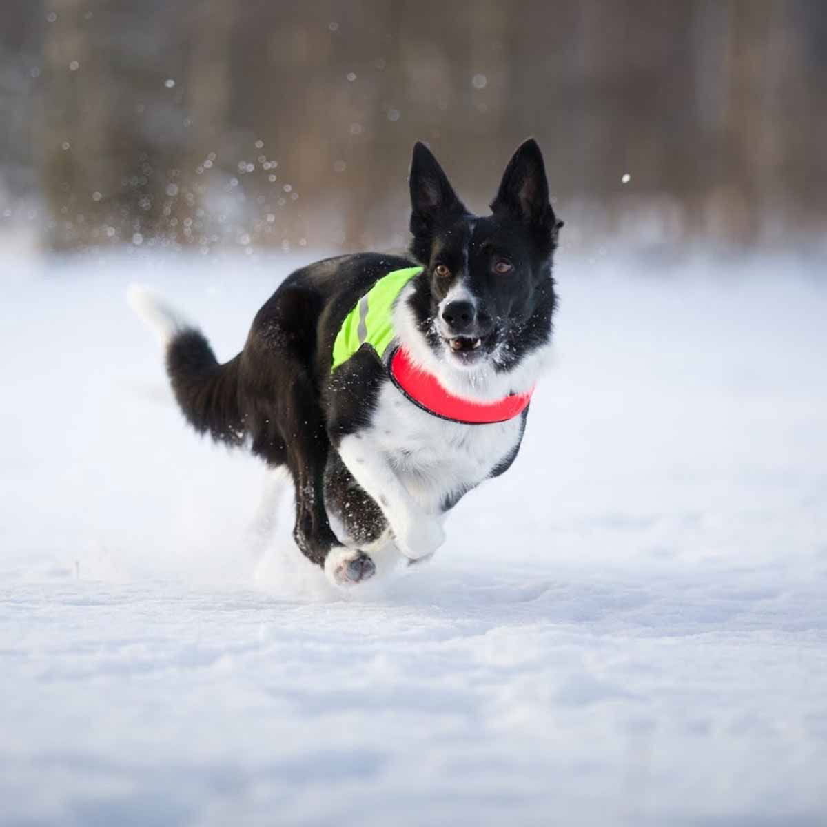 FinNero Ukko metsästysliivi