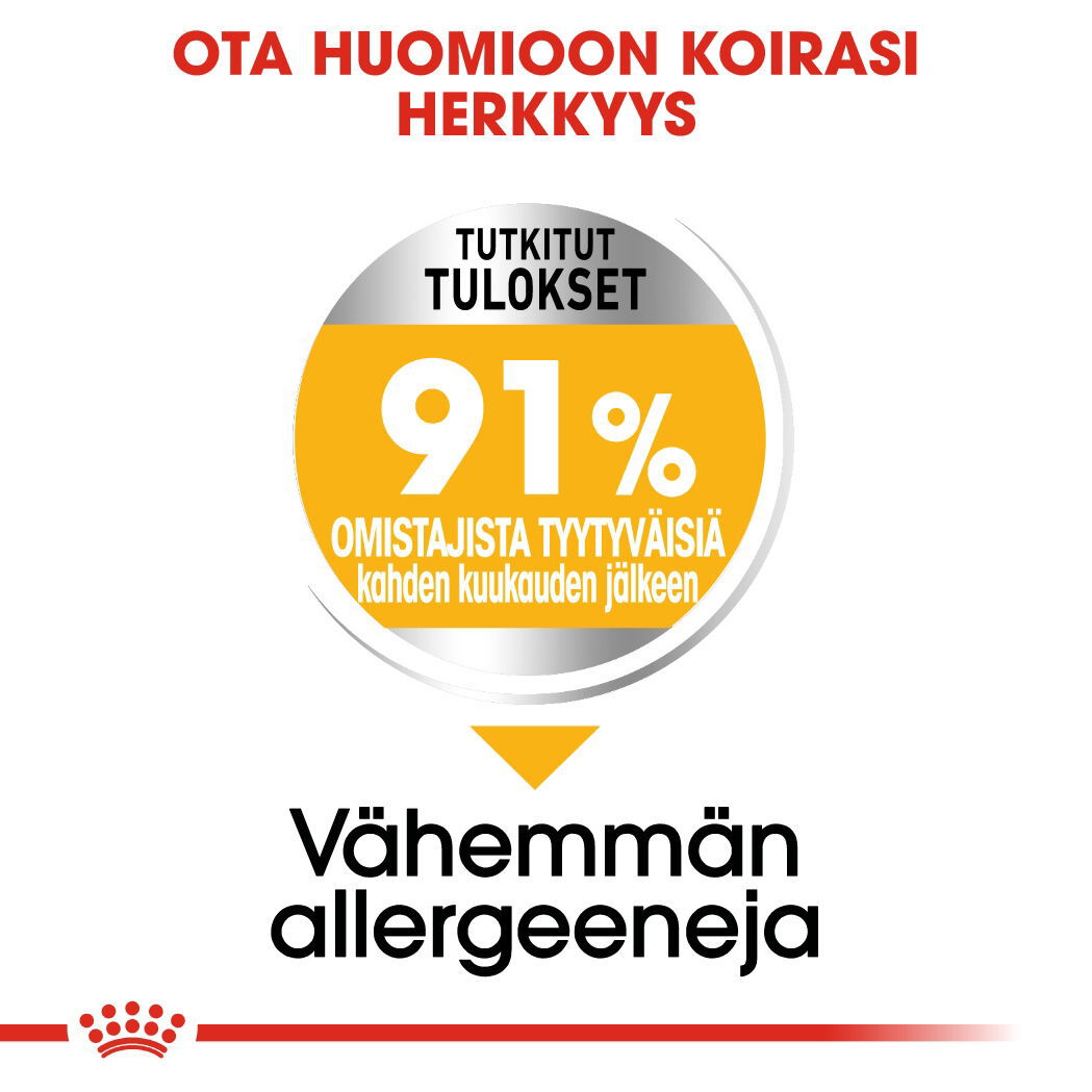 Royal Canin Dermacomfort Medium Adult koiran kuivaruoka
