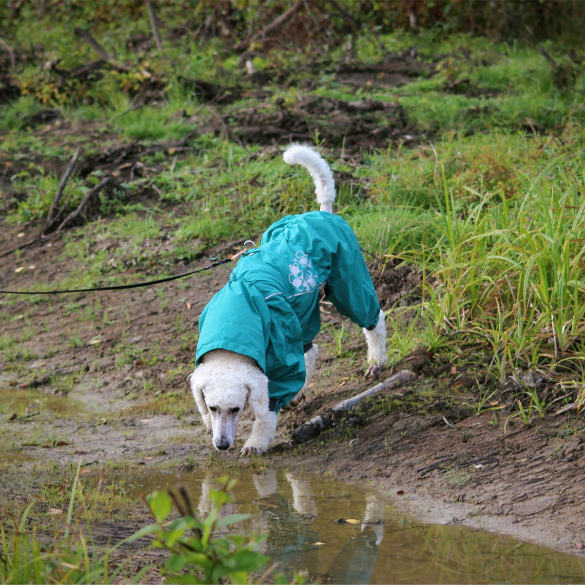 Hurtta Mudventure ECO overall, peacock