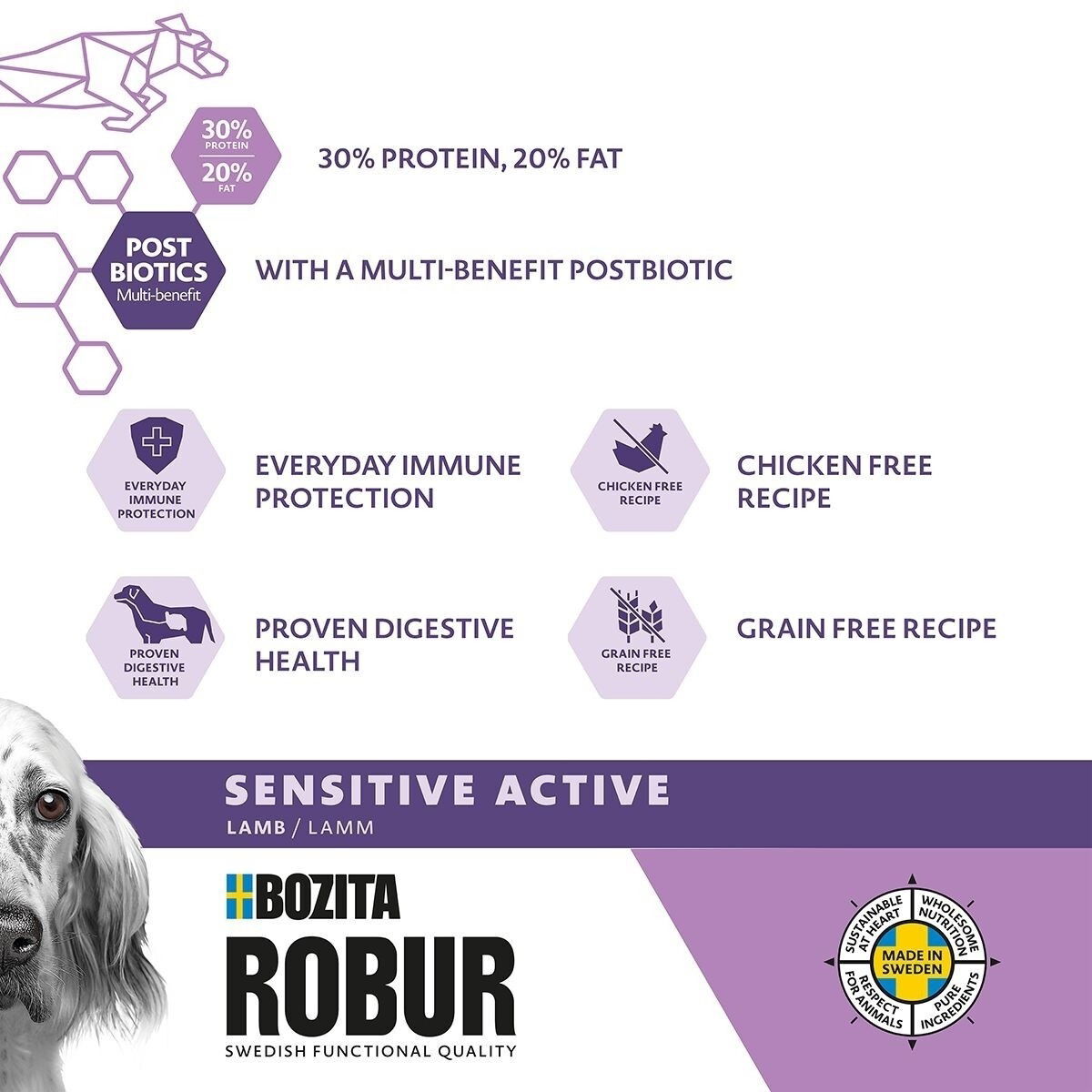 Robur Sensitive Grain Free Active