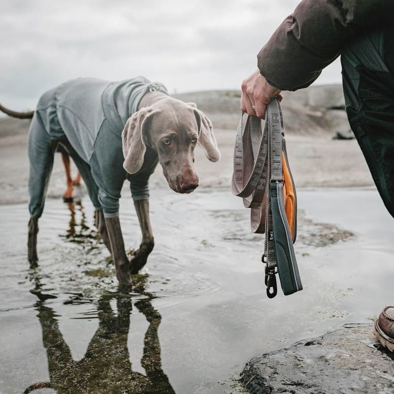 Hurtta Body Warmer haalari hiili