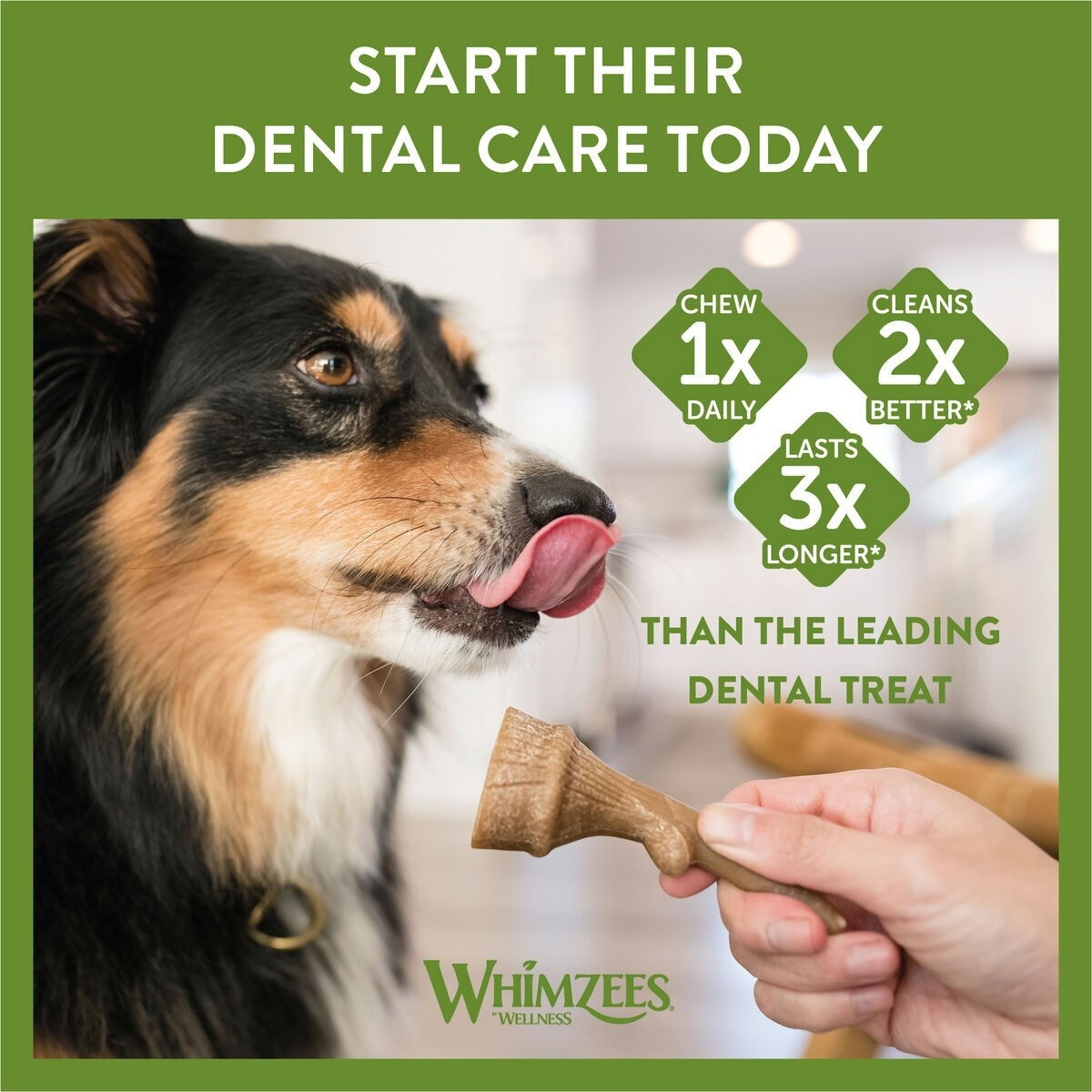 Whimzees Occupy Antler M hammashoitoherkku koiralle