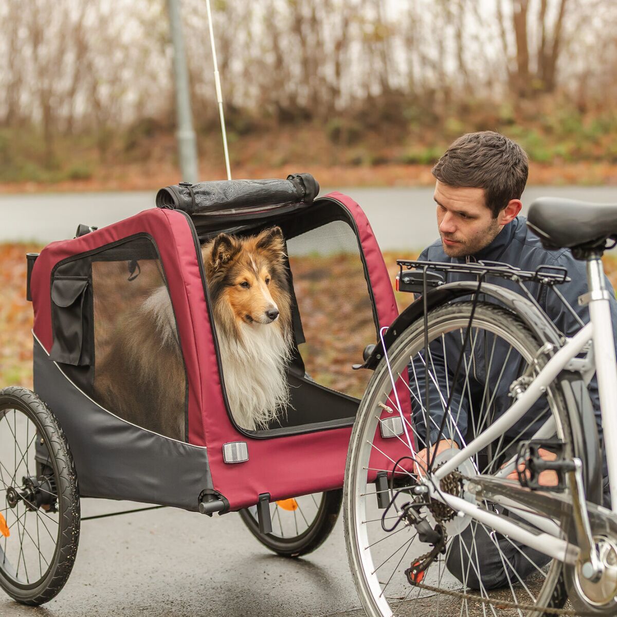 Trixie Bicycle trailer harmaa/punainen