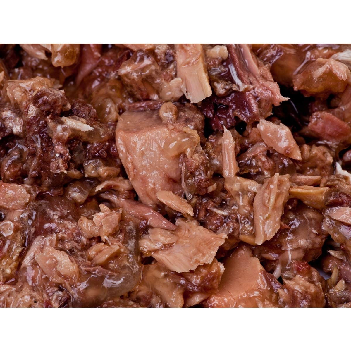 Feline Porta 21 tonnikala ja merilevä 