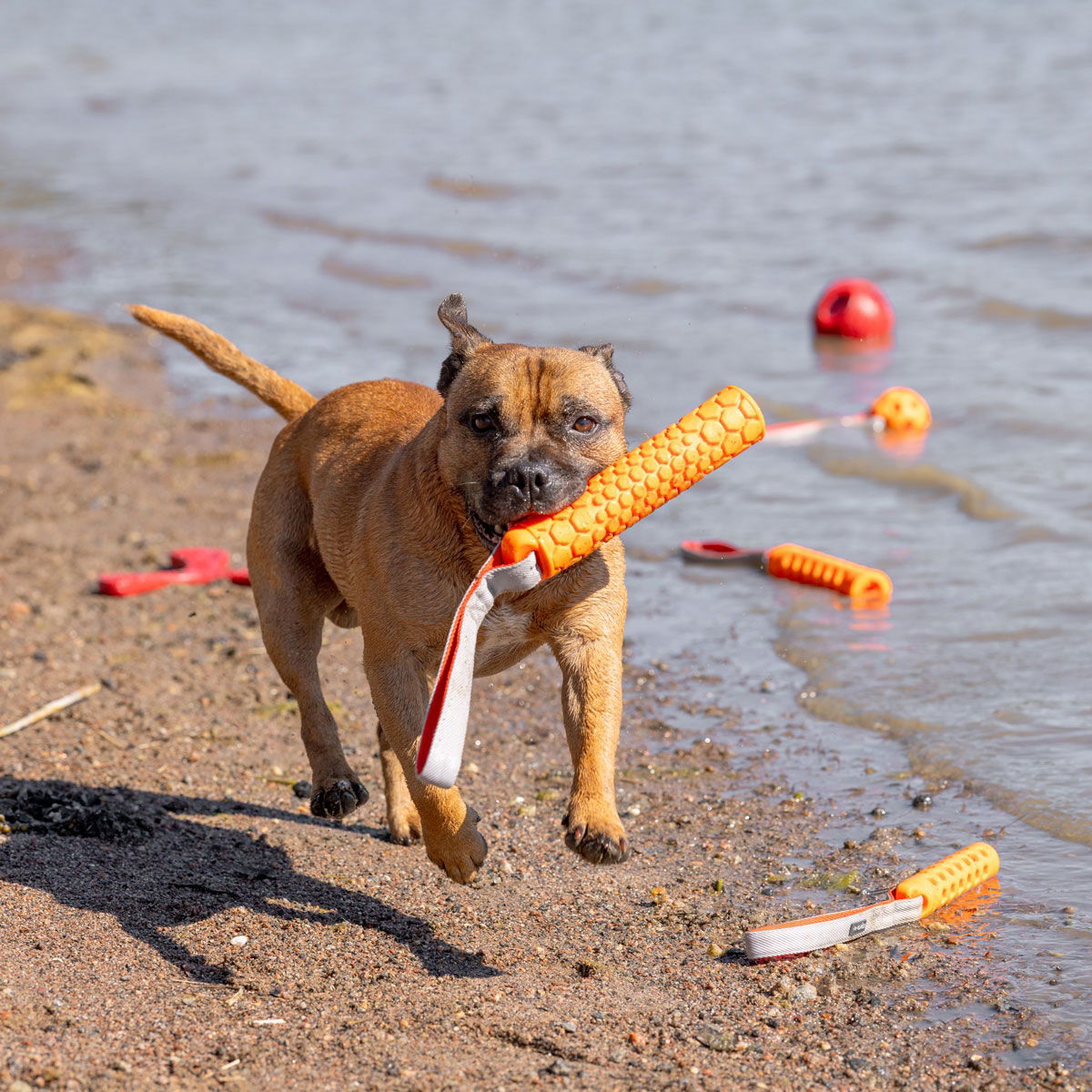N-Gage Bumper patukka oranssi M