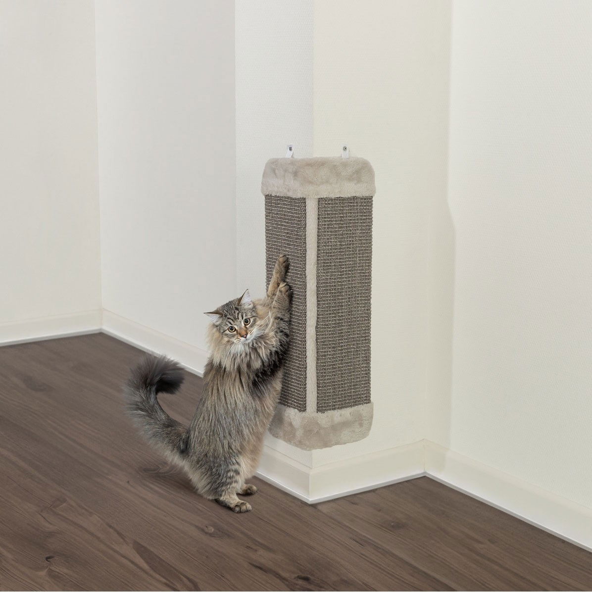 Trixie Raapimalauta kulmaan