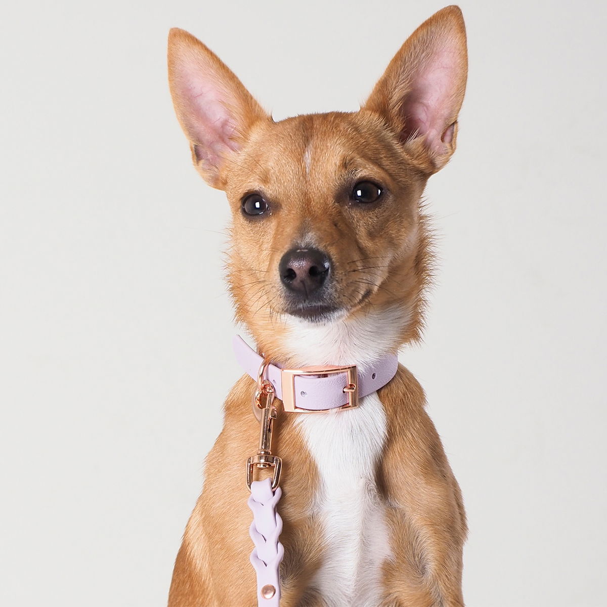 Tyylivoitto Classy panta kapea, laventeli/ruusukulta