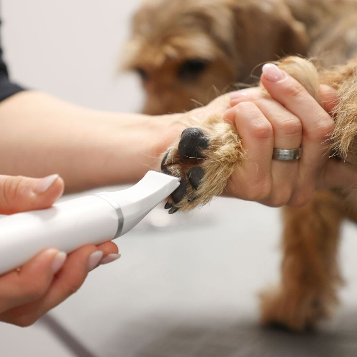 Kerbl Pet Battery Multi-Trimmer 4in1