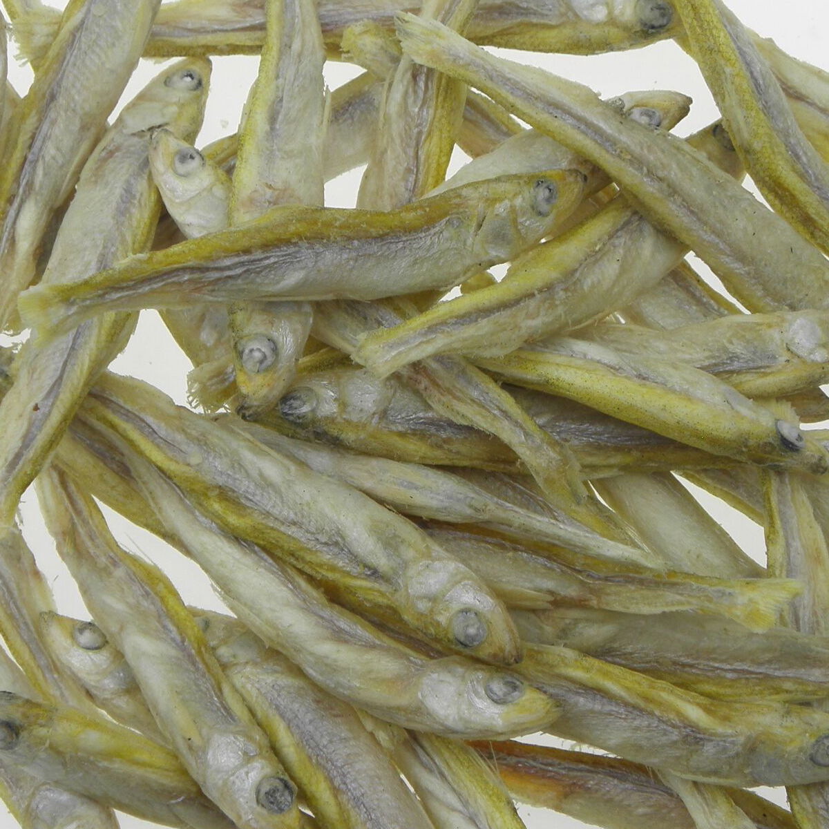 ItsyBitsy Freeze Dried kuore kissalle