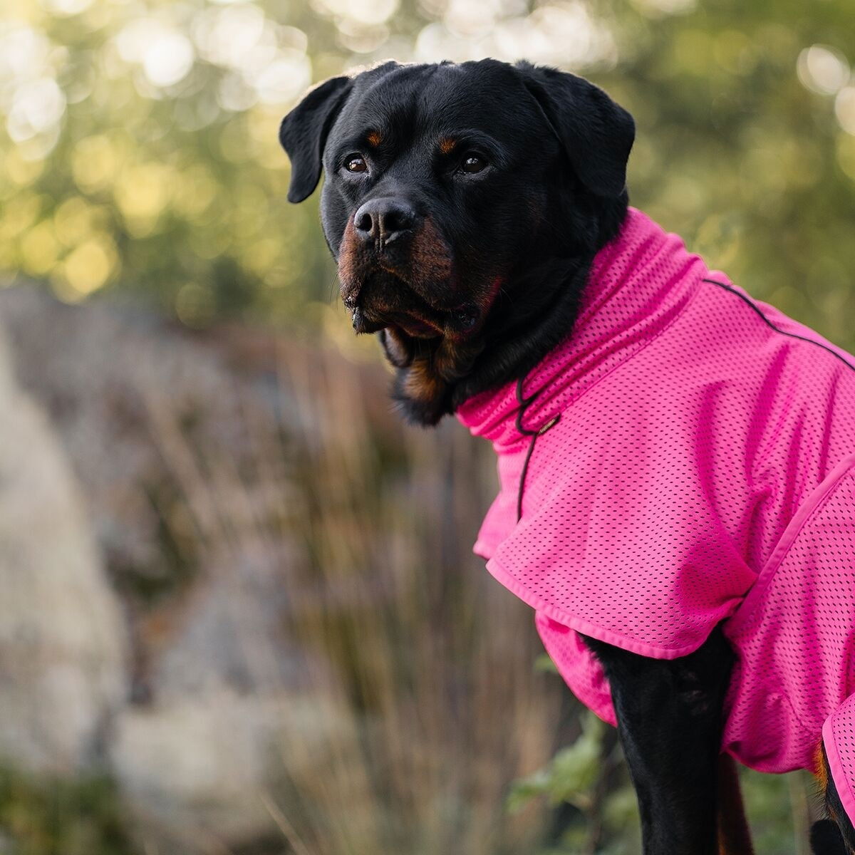 Back on Track Mesh jacket Limited Edition, Hot Pink