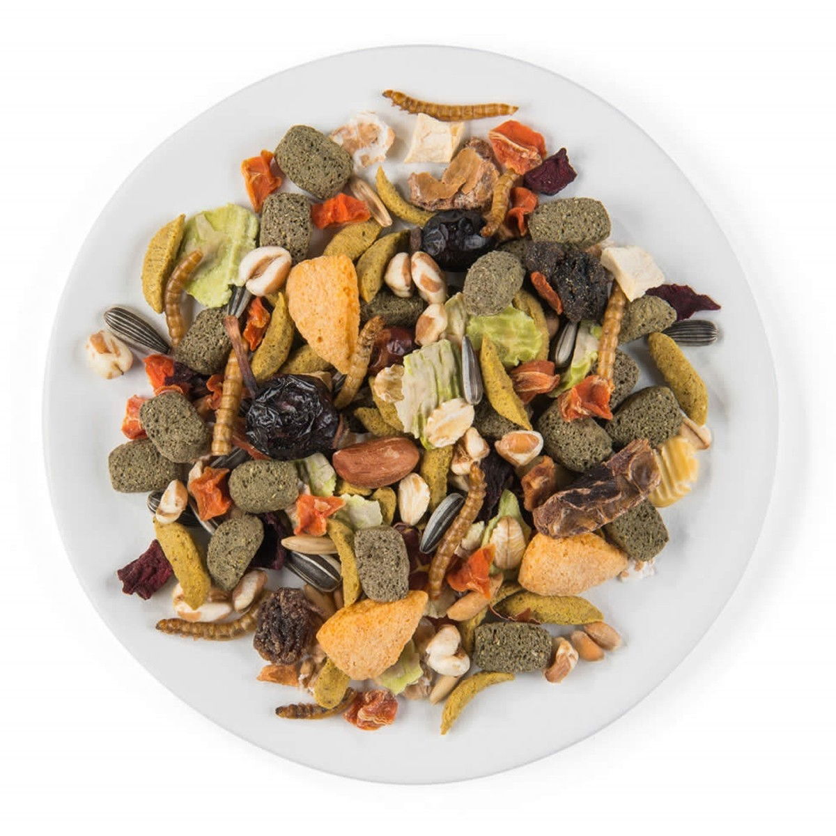 PUUR Hamster, hamsterin ruoka