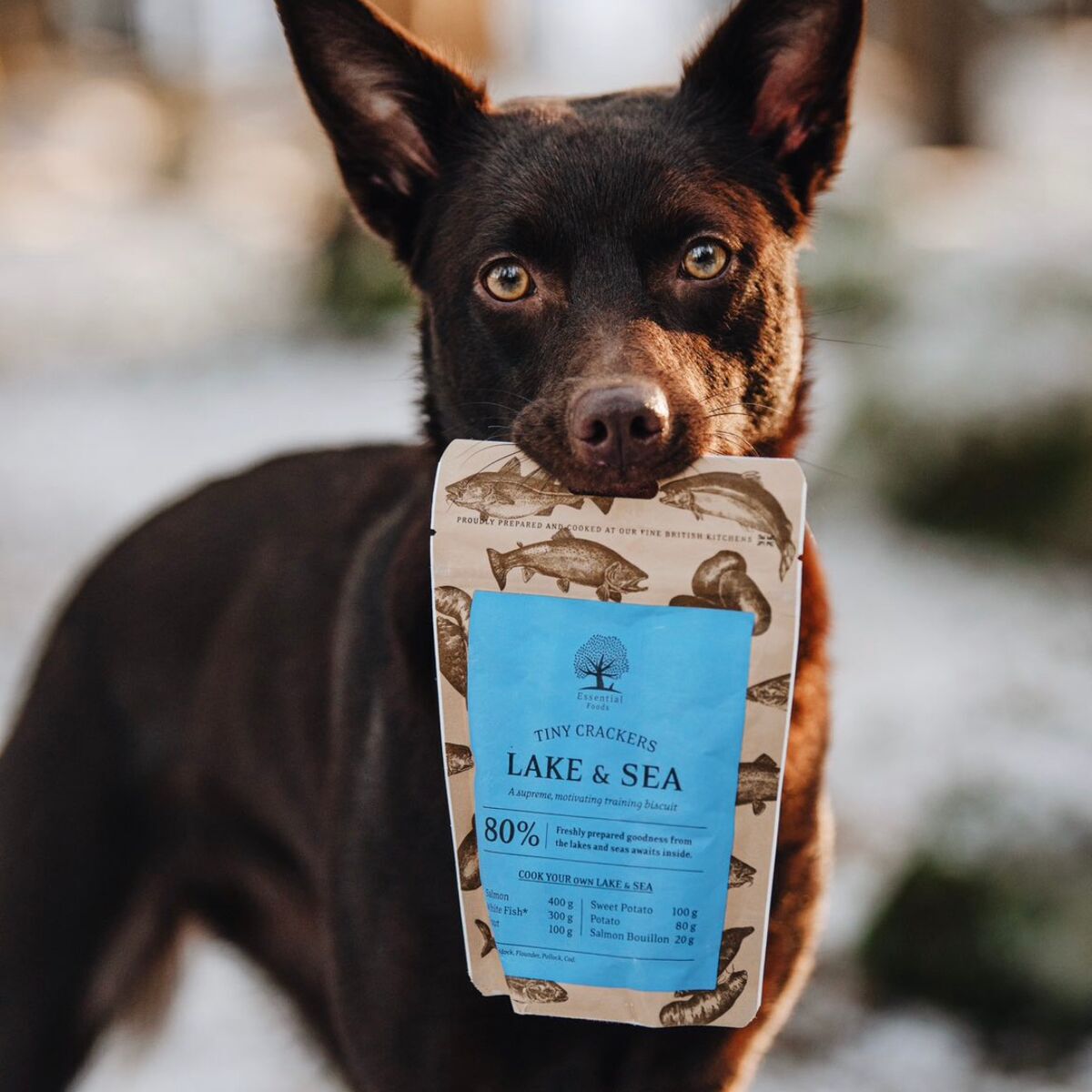 ESSENTIAL Lake&Sea Crackers 100g