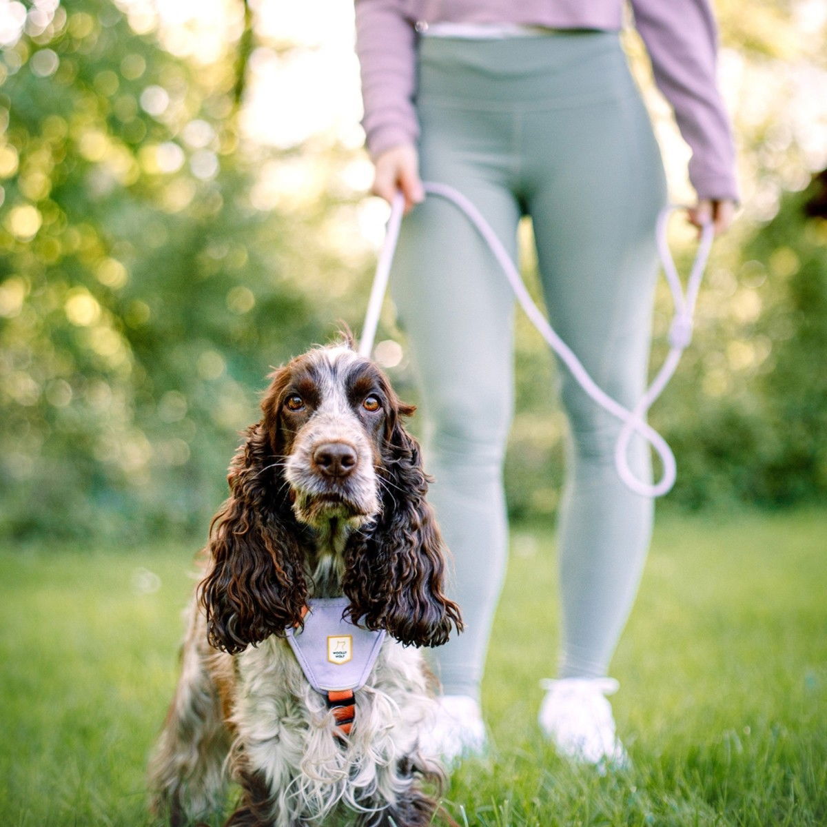 Woolly Wolf Color Block Harness, Salmon Pink Mix