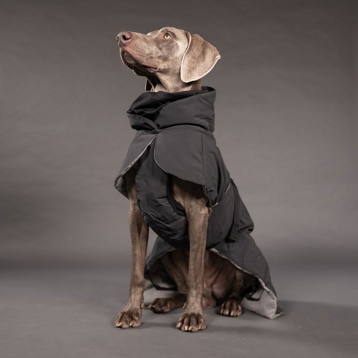 PAIKKA Visibility Winter Jacket, dark