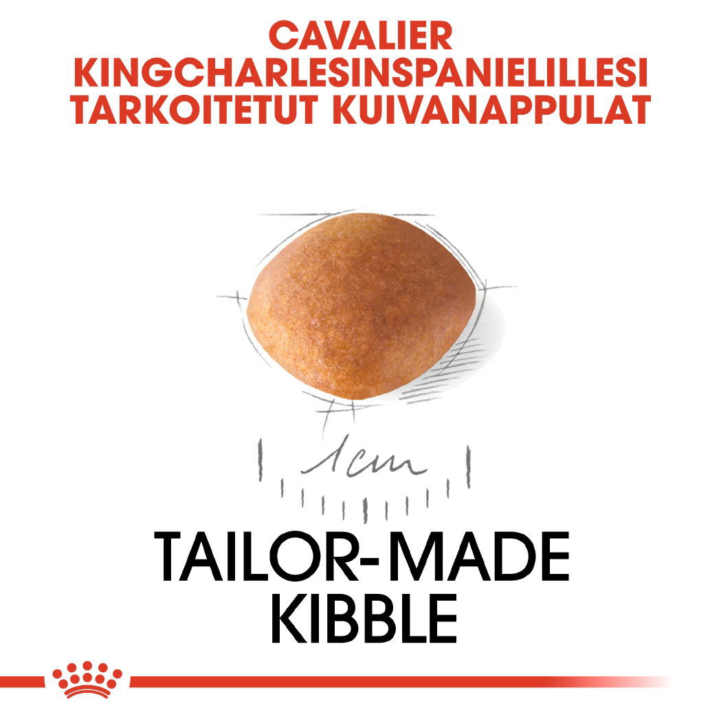 Royal Canin Cavalier King Charles Puppy koiranpennun kuivaruoka
