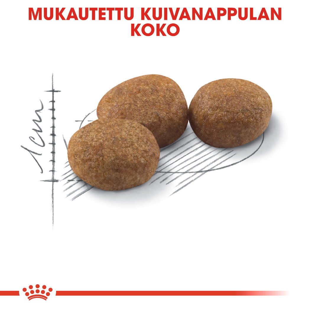 Royal Canin Sterilised Adult kissan kuivaruoka