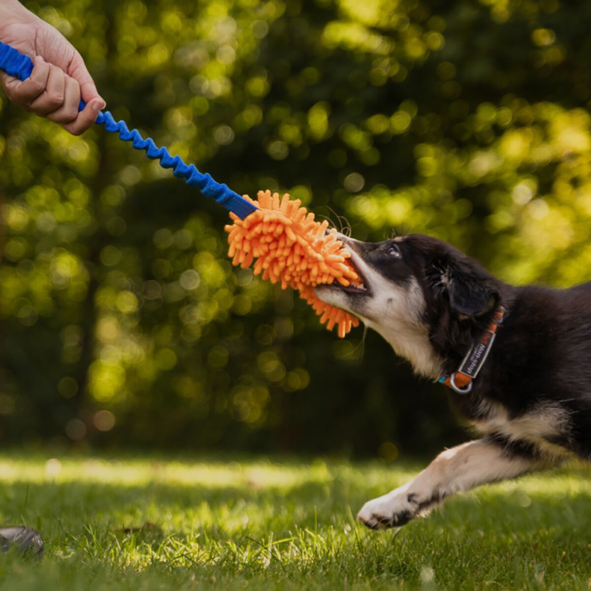 Loype Tug Toy Mopster