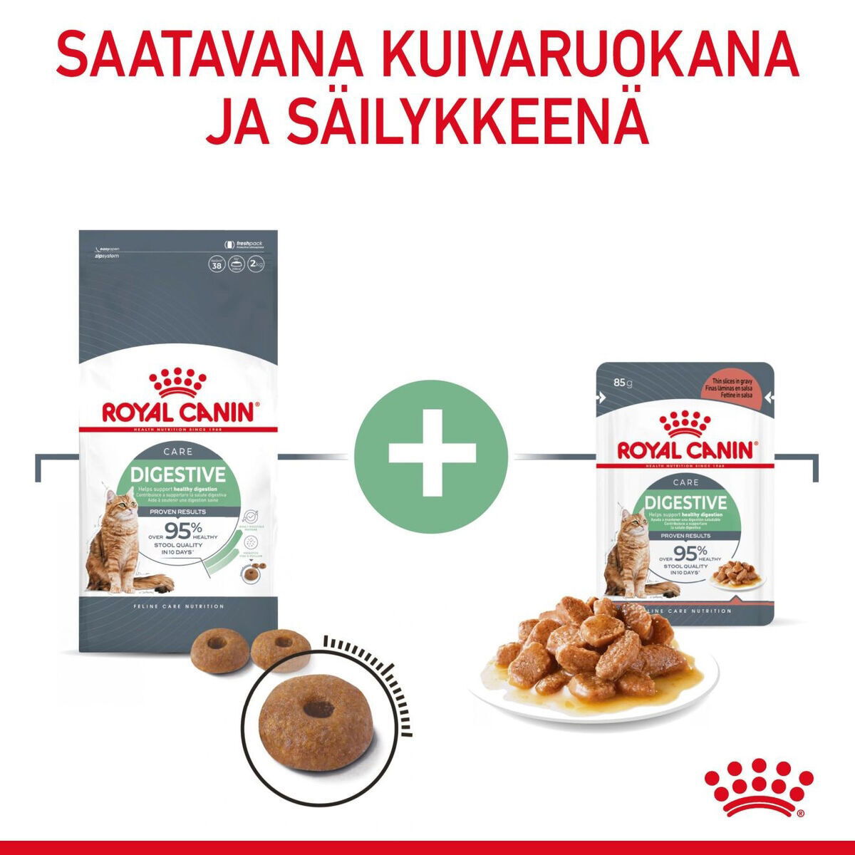 Royal Canin Digestive Care Adult kissan kuivaruoka