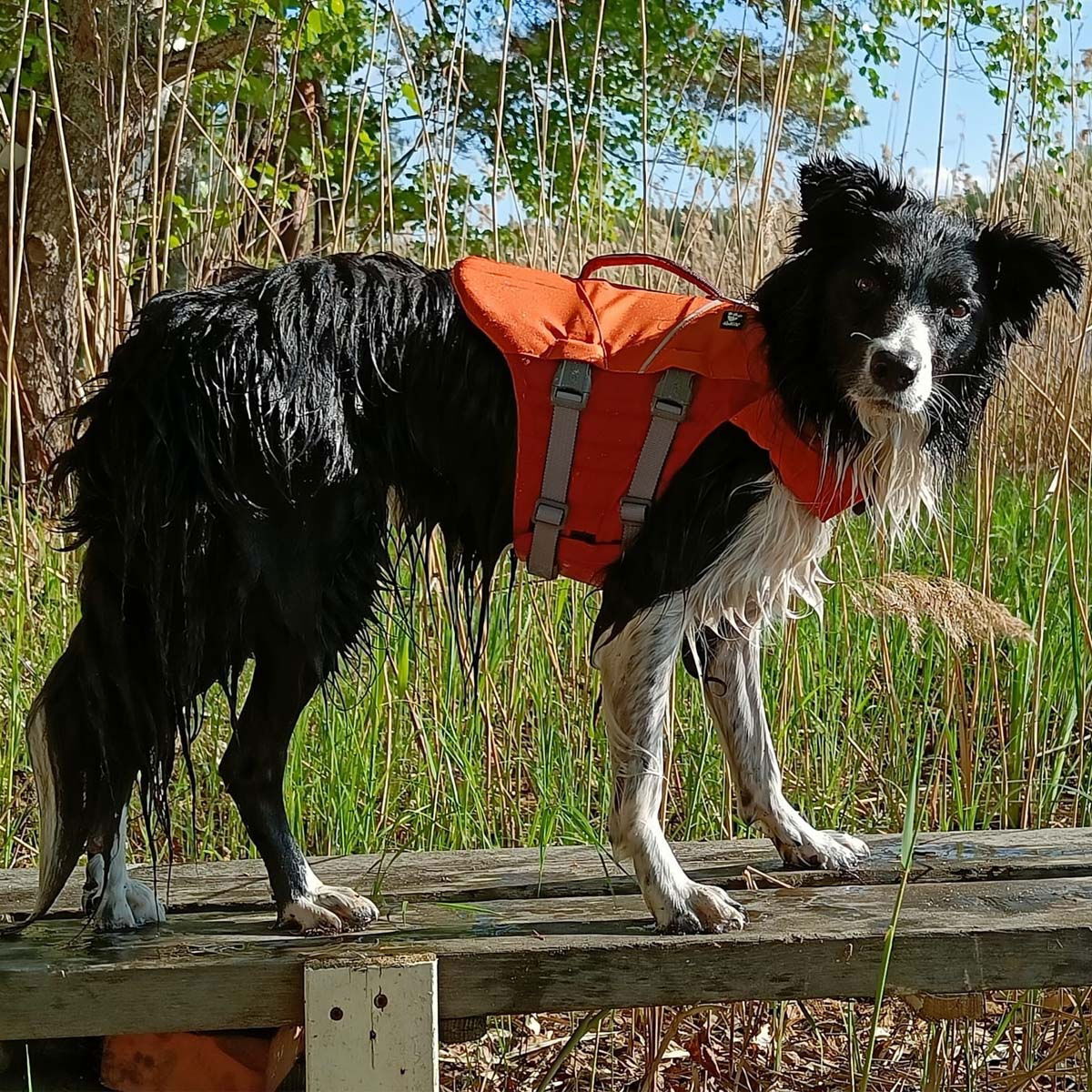 Hurtta Life Savior ECO, buckthorn