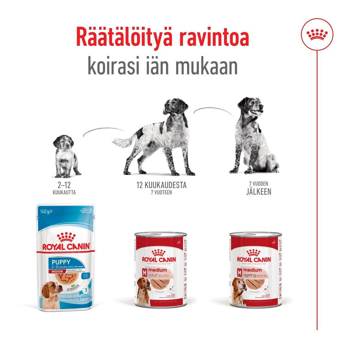 Royal Canin Medium Adult loaf can 410g
