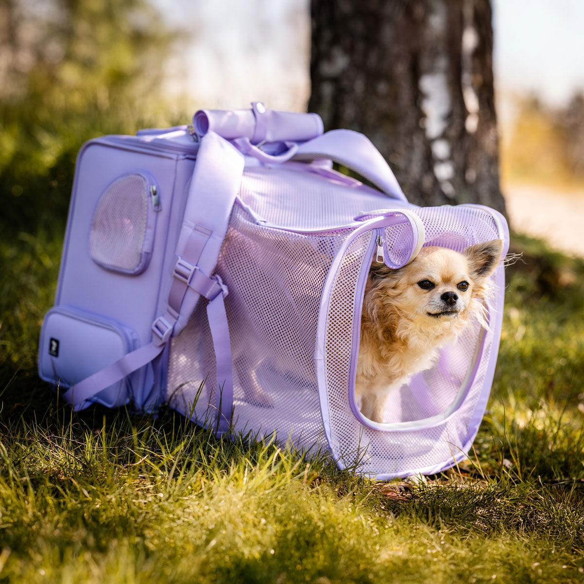 Feel Active kantoreppu laajennusosalla lavender