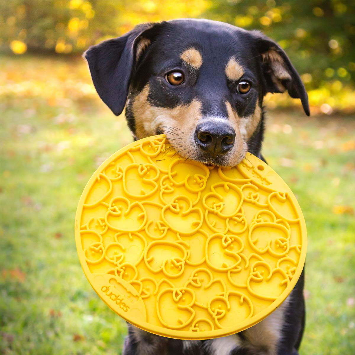 SodaPup Emat Duckies keltainen